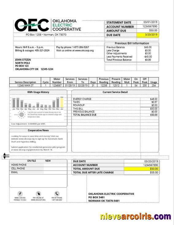 USA OEC electricity utility bill